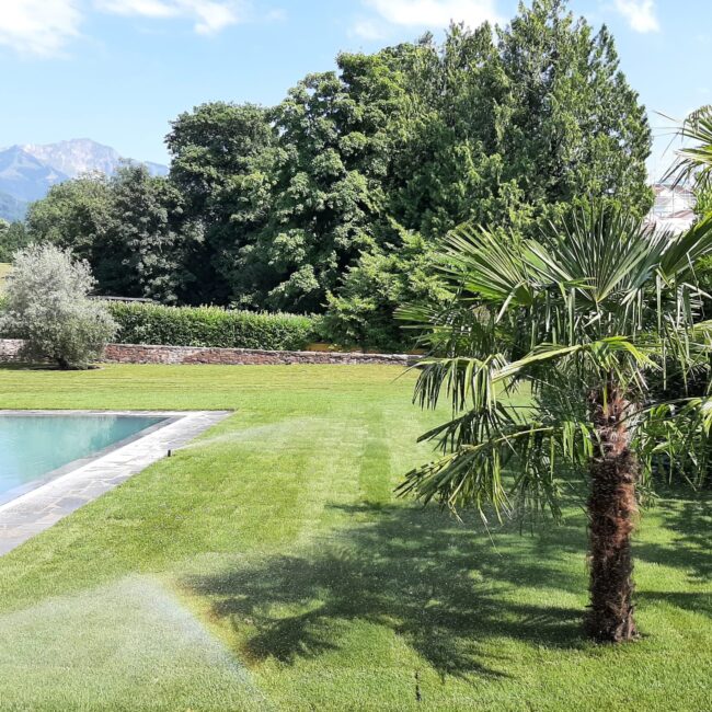 223390957_10159375689889376_8336824726880278049_n