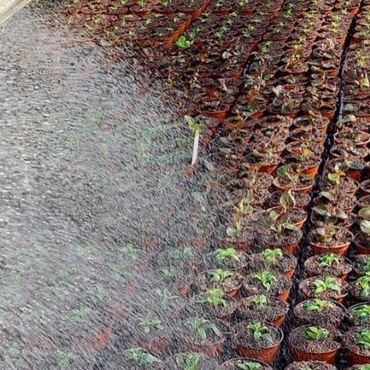 275610098_10159782313234376_1884966271845644281_n