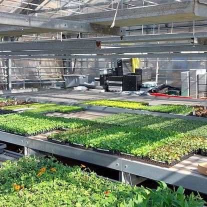 275749010_10159782313239376_2531495109538191614_n