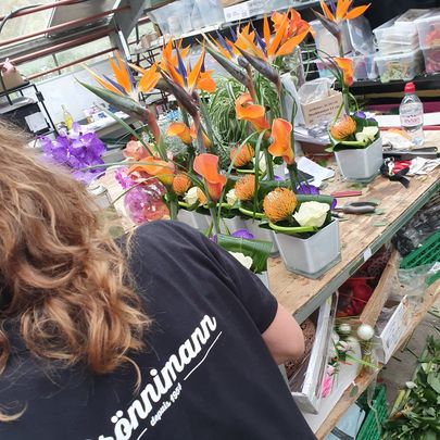 292765019_476284311165051_4326303508832525542_n