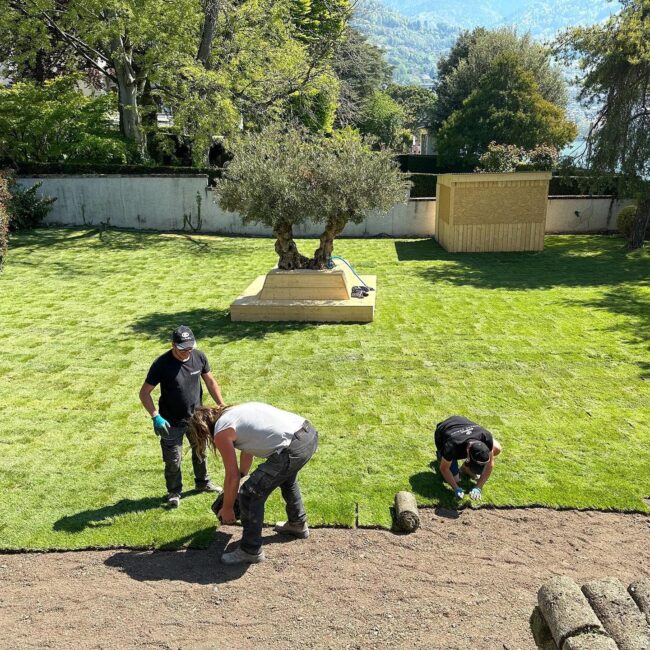 345262697_656708989802411_2617437735696448452_n