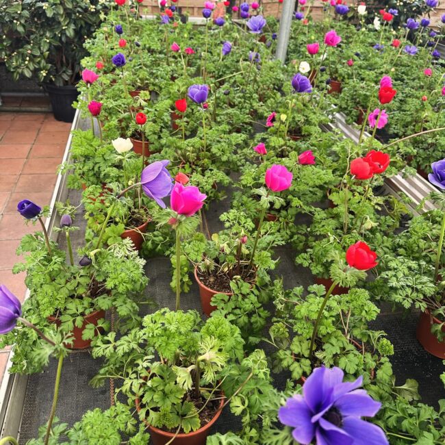 425261681_18249570835241652_343926056368976552_n