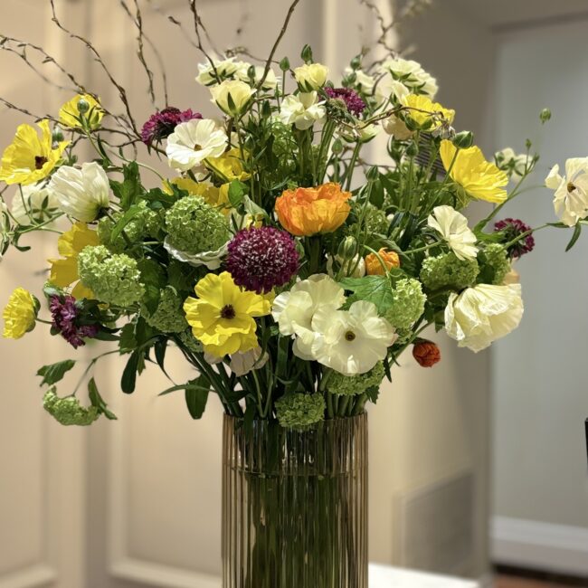 433890076_959579782835499_3223704563162110589_n