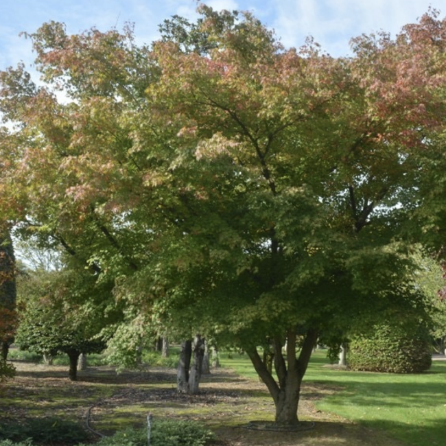 Screenshot 2024-05-16 at 10.10.06