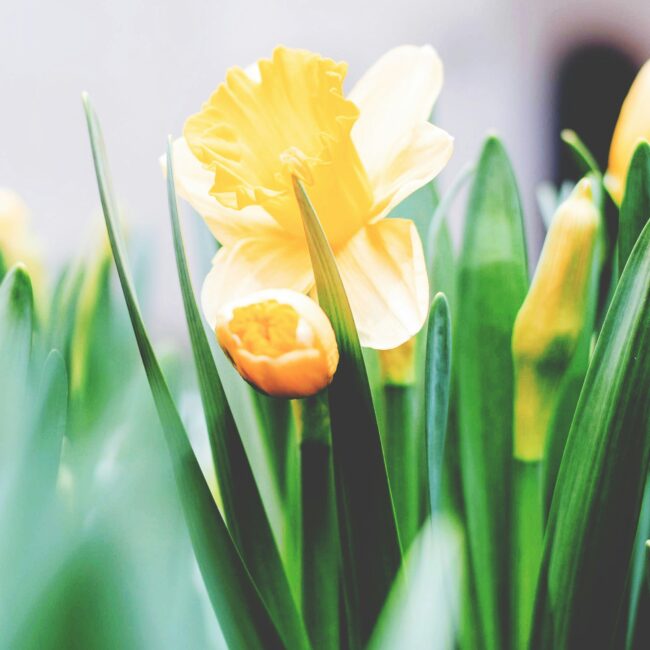 tim-gouw-4l9qmFImnnI-unsplash